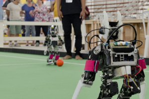 В Госдуме обсудят введение в  школьную программу уроков робототехники