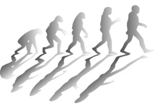 Изъятие теории эволюции из школьных программ является шагом назад