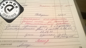 Родительница и учительница из Магнитогорска пожаловались друг на друга в прокуратуру
