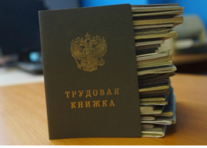 Россияне получили доступ к электронным трудовым книжкам