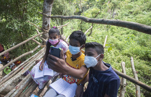 На Шри-Ланке школьники учатся на деревьях